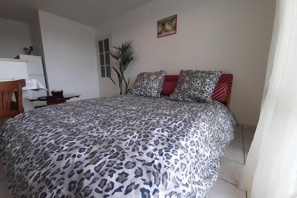 2 Pieces Avec Terrasse, Piscine, Parking Privatif Besançon